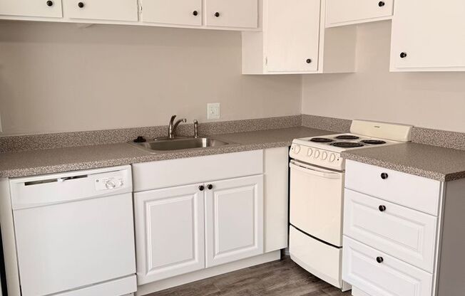 Studio, 1 bath, 520 sqft, $895, Unit 107