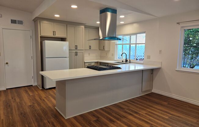 Newly-Remodeled RPV Family Home with a View