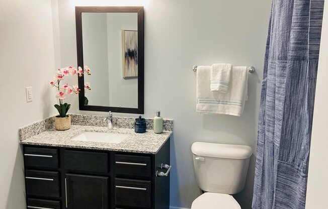 Luxurious Bathrooms at River Point West Apartments, Elkhart, Indiana