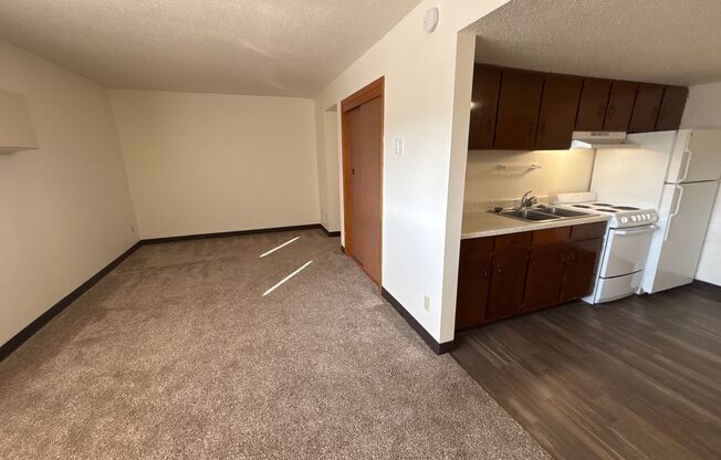 Studio, 1 bath, 500 sqft, $650, Unit 213