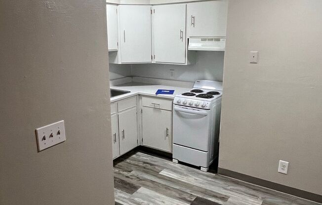 Studio, 1 bath, 462 sqft, $725, Unit DB1-1