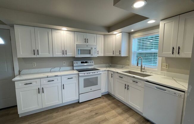 3 bed 2 bath newly remodeled single family home near downtown!