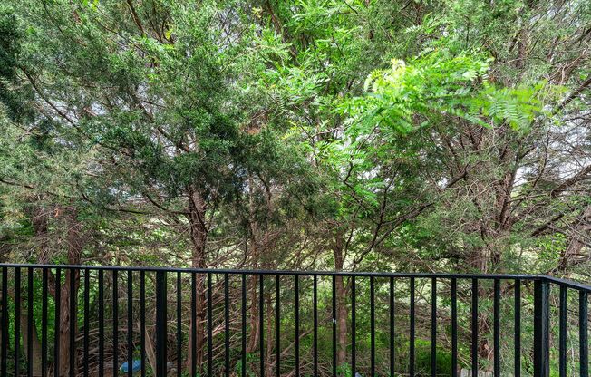 1 bed, 1 bath, 520 sqft, $1,195, Unit C-14