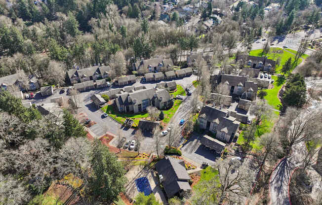 A bird's eye view of a residential neighborhood with houses and trees.