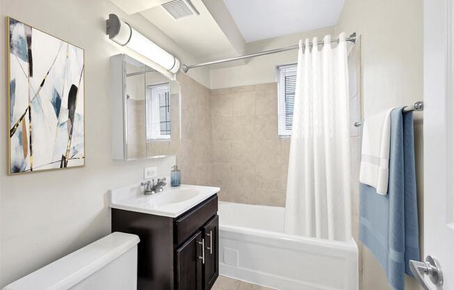 a bathroom with a sink and a shower and a tub