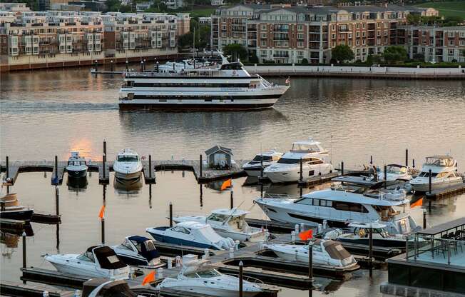 Photo of Harbor
