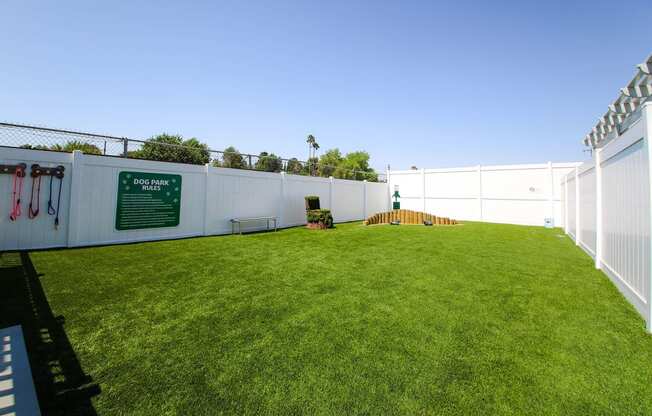 Large community pet park which is enclosed and fenced.