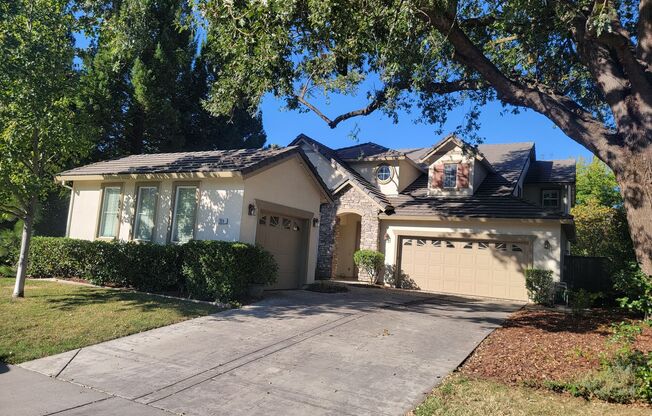 Gorgeous 4 bedroom 2.5 bath with large bonus room.