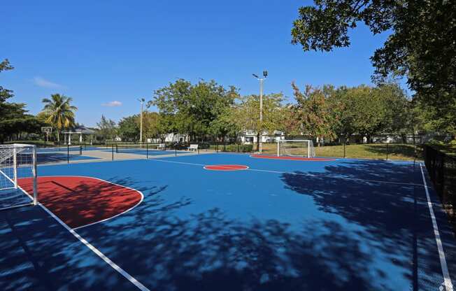 Multi-Sports Court
