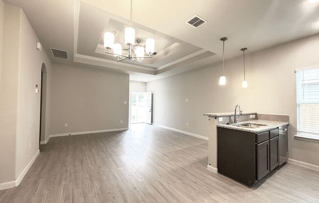Stunning New Duplex Home in Seguin