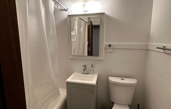 Studio, 1 bath, 429 sqft, $1,300, Unit Unit 103