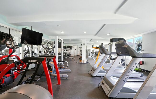 1 bed, 1 bath, 737 sqft, $1,350, Unit 3112