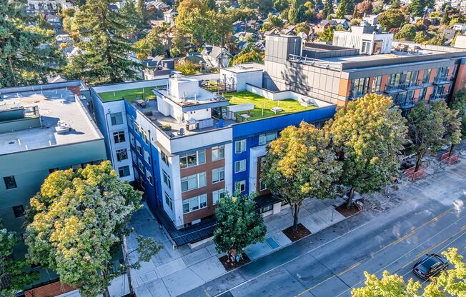 1 bed, 1 bath, 461 sqft, $1,750, Unit 201