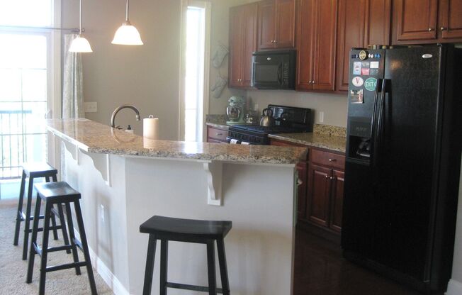Beautiful 2-Bedroom Luxury Condo in Conshohocken! Available mid-July!