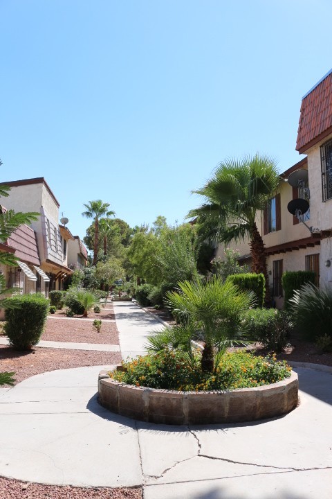 NO SHOWINGS UNTIL 12/15/25