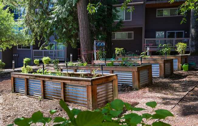 A garden with a metal fence and a tree in the background.