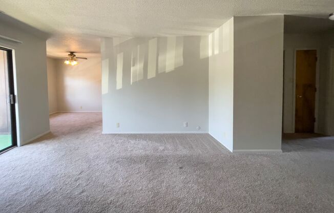 3 beds, 1 bath, 1,092 sqft, $975, Unit 1D