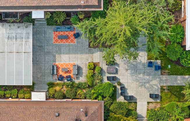 A patio with a couch and chairs surrounded by green plants.