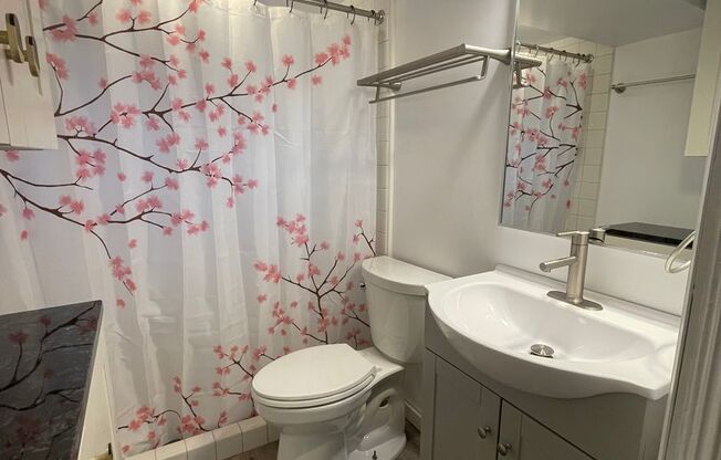 Studio, 1 bath, $1,225, Unit 1477