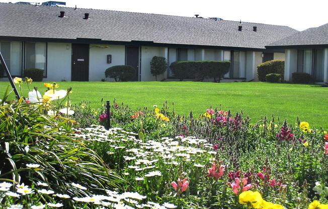 a close up of a flower garden in front of a house