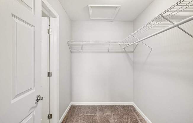 A white closet with a brown carpet and a white door.