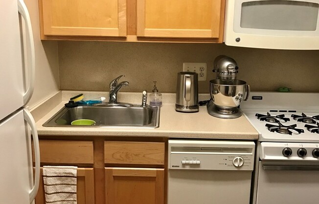 Studio, 1 bath, 400 sqft, $1,099, Unit 17E