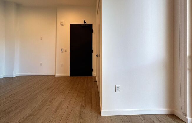 Studio, 1 bath, 246 sqft, $1,233, Unit 106