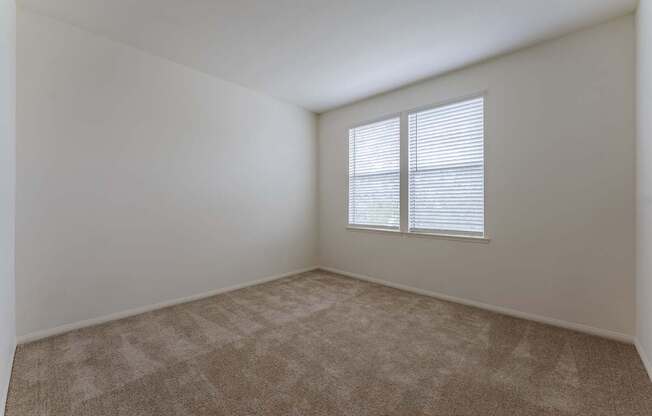 A room with a carpeted floor and a window with blinds.