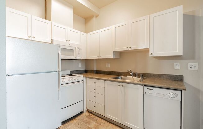 Studio, 1 bath, 438 sqft, $1,100, Unit 1005