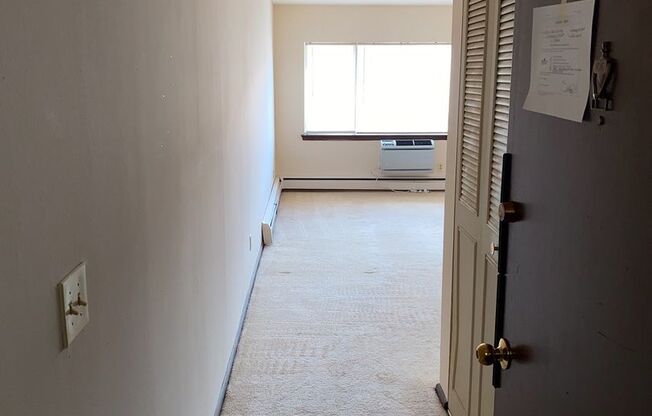 1 bed, 1 bath, 700 sqft, $899, Unit Custer-106