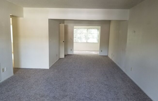 Charming, Affordable One-Bedroom Condo in 55+ Orchid Springs Community