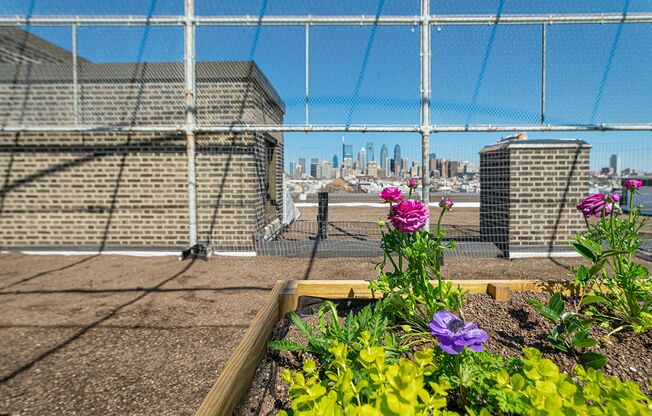 Studio, 1 bath, 388 sqft, $1,241, Unit 100