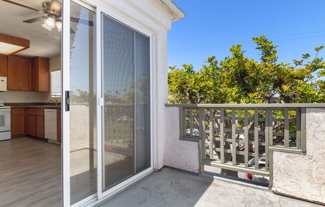 255 Ash Avenue