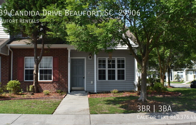 539 CANDIDA DR
