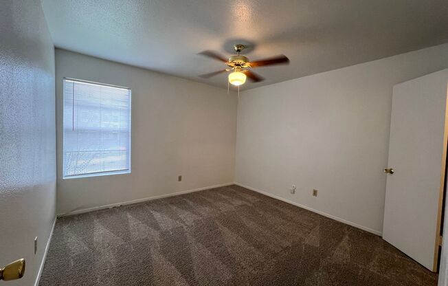 1 bed, 1 bath, 660 sqft, $1,000, Unit 1204