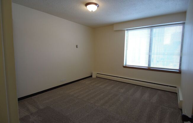1 bed, 1 bath, 620 sqft, $1,055, Unit 209