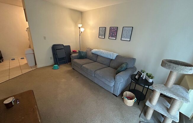 1 bed, 1 bath, $850, Unit 113