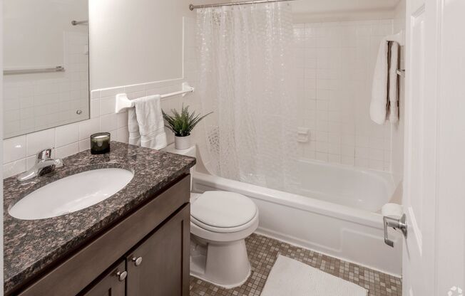 1 bed, 1 bath, 650 sqft, $1,145, Unit 3028402