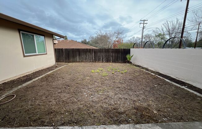 Gorgeous updated home with large side yard!