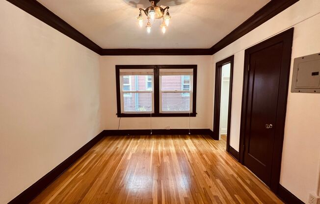 Studio, 1 bath, 310 sqft, $1,299, Unit 204