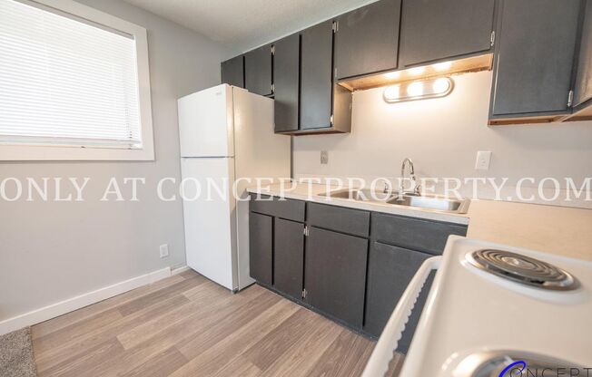 1 bed, 1 bath, 480 sqft, $920, Unit 162