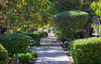 Welcome to Los Gatos Gardens