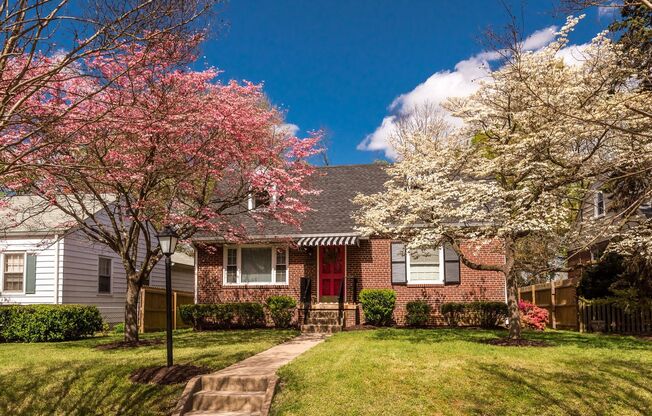 Gorgeous, Quaint 4 Bedroom Cape in Sauer's Gardens Available August 20th!
