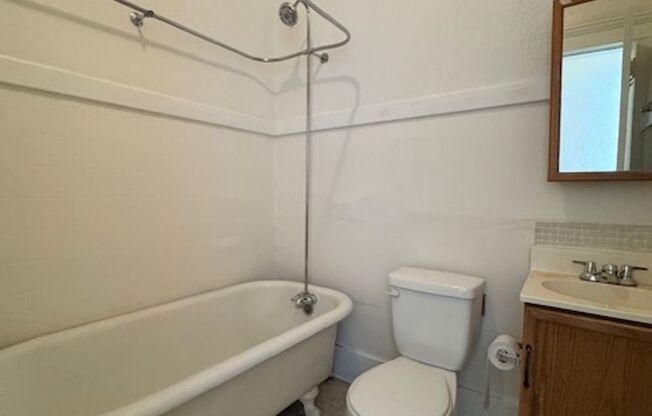 1 bed, 1 bath, 505 sqft, $1,495, Unit 16