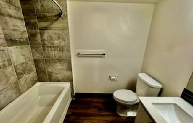 Studio, 1 bath, 316 sqft, $1,295, Unit 205