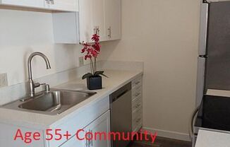 Age 55+ Only - Remodeled One Bedroom Condo - Age 55+ Only