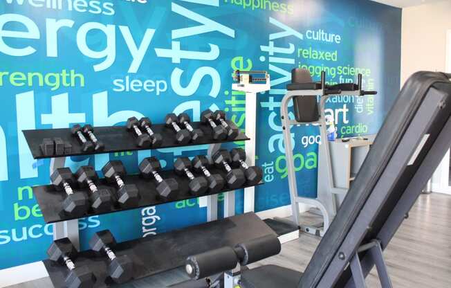 a wall of dumbbells in a gym with a wall graphic of the gym