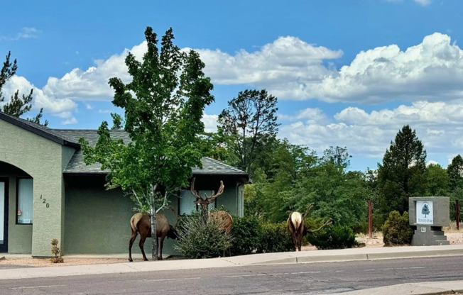 1 bed, 1.5 baths, 850 sqft, $1,450