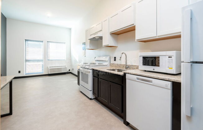 1 bed, 1 bath, 449 sqft, $745, Unit 118
