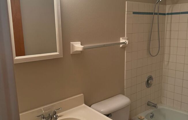 Studio, 1 bath, 350 sqft, $1,100, Unit Unit 109